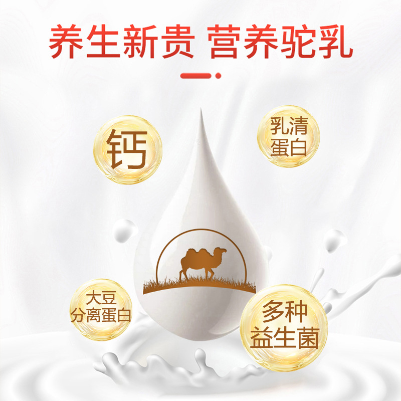 Shicheng Probiotic High Calcium Camel Milk Nutritional Powder 320g Red Canned Sports Supplement Energy Protein Powder Factory-Issued