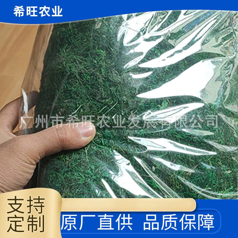 Коврик для цветочного горшка, сухой мох, мох для ландшафта, зеленый мох