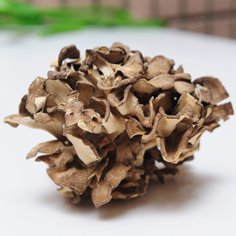 Grifola Frondosa Qingyuan Manufacturer Direct Supply (Maitake) Dry Goods Sulfur-Free New Goods 500g Commercial Mushrooms Ready for Sale