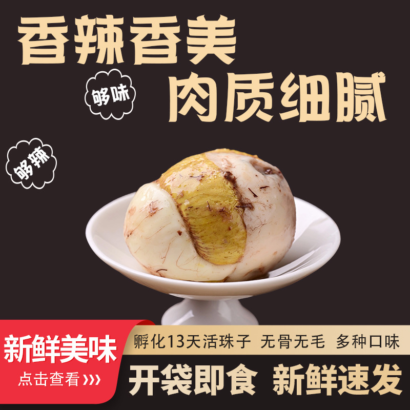Spot Live Beads Cooked Food Spicy Five-Spice 13-Day Chicken Embryo Egg Hairless Happy Egg Tempered Egg Non-Hairy Egg