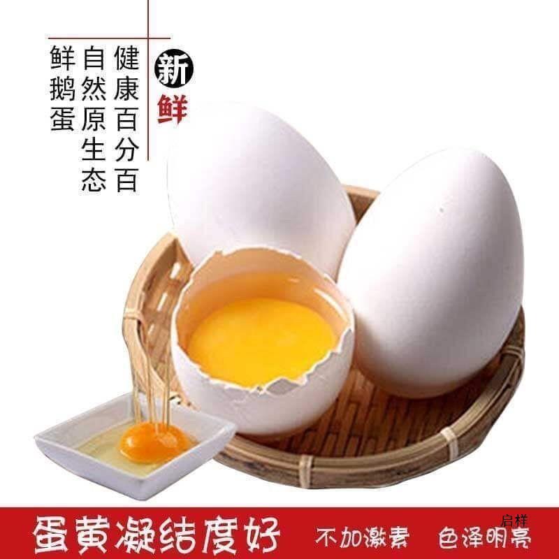 12 pieces of lion-headed goose fresh farmhouse free-range soil big goose egg pregnant women to fetal poison large 80-120g hair