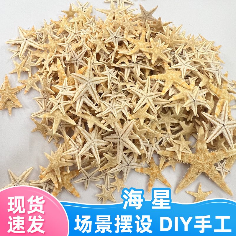 Оптовая продажа мини морских звезд DIY ручные декоративные материалы ювелирные аксессуары кристаллический клей аквариумное ландшафтное украшение морская звезда