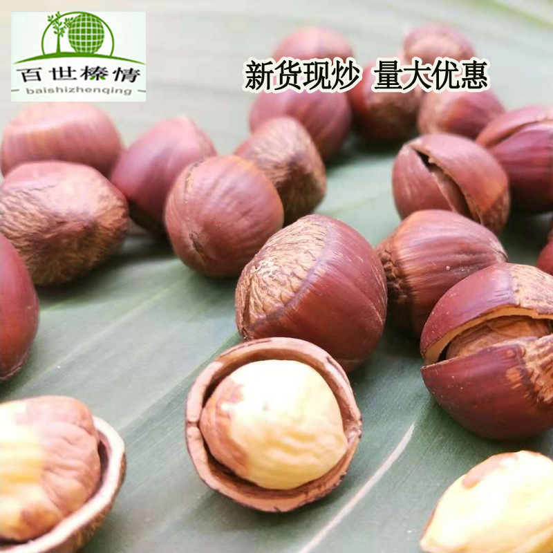 Best Hazelnut Northeast Hazelnut Open Cooked New Original Flavor Bag 500g Pingou Large Hazelnut Nuts Wholesale