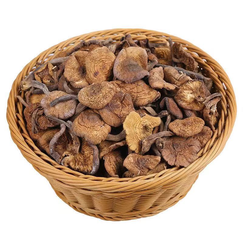 2024 Northeast specialty wild hazel mushroom diced dried chicken stewed mushroom Changbai mountain mushroom super rootless new product