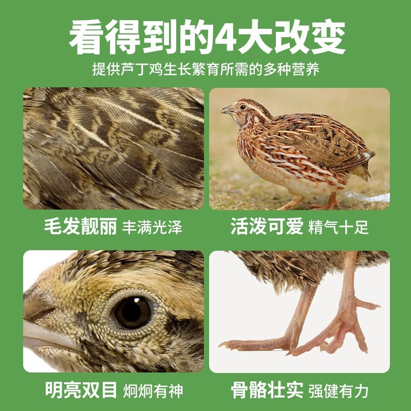 Rutin Chicken Special Feed for Egg Laying, Egg Laying, Food Mixed Vegetable Capsuless, Open Brooding Chicks, Ludin Chicken Food