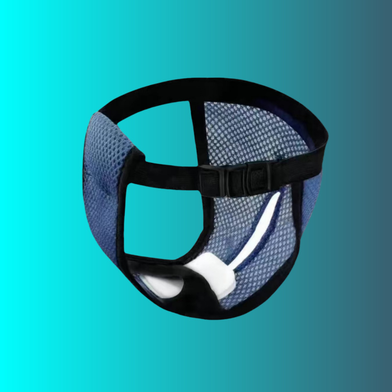 Cross-Border Hot Selling Dog Menstrual Pants Pet Menstrual Pants Safety Pants Pet Sanitary Diapers Anti-Harassment Underwear