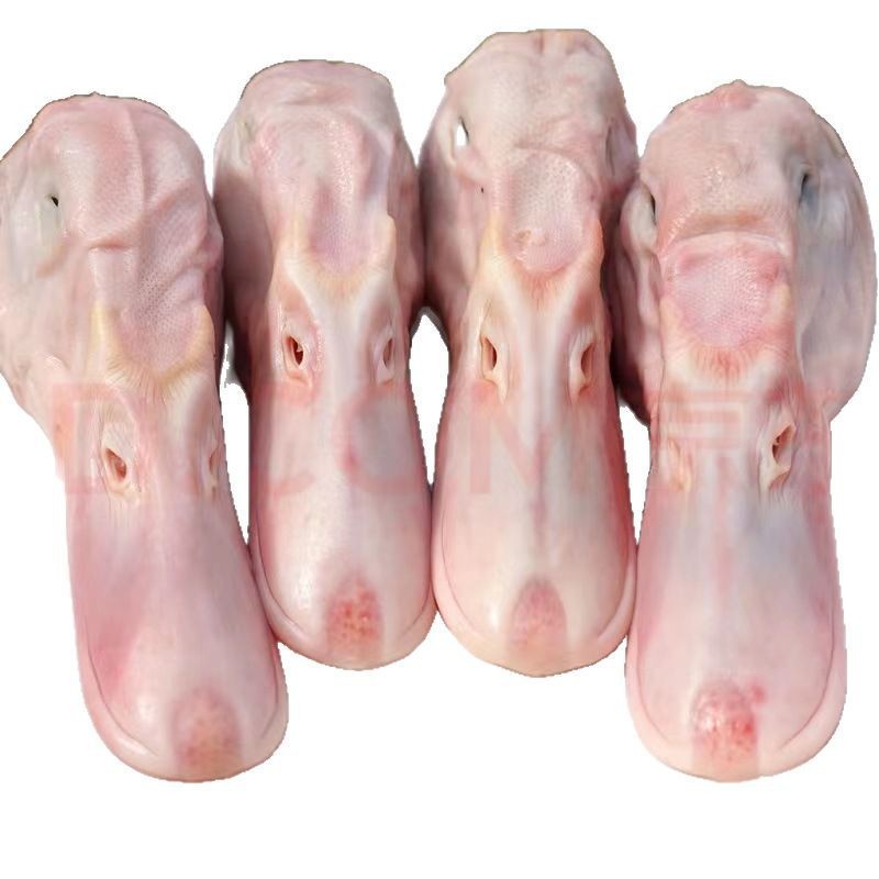 Fresh Duck Products: Liuhe Duck Heads, Duck Necks, Duck Intestines, Fresh Frozen, 1.0kg Bags of Duck Feet, Duck Gizzards, Duck Wings from the Original Factory