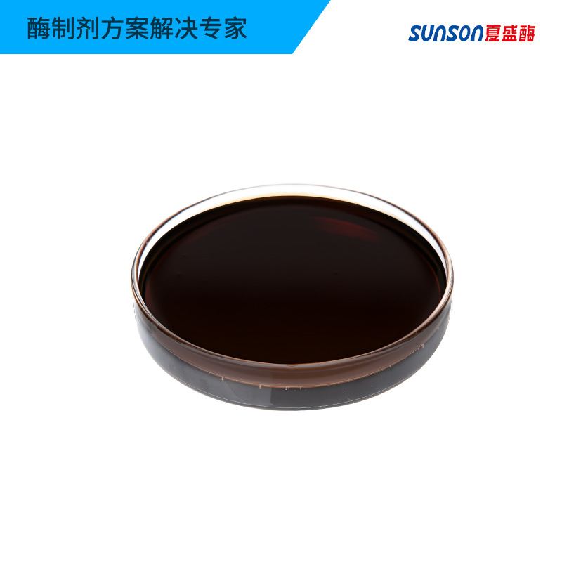 Xia Sheng Alkaline Protease 20Gl 200,000 U/Ml Industrial Grade Liquid Detergent Enzyme Preparation for Removing Protein Stains