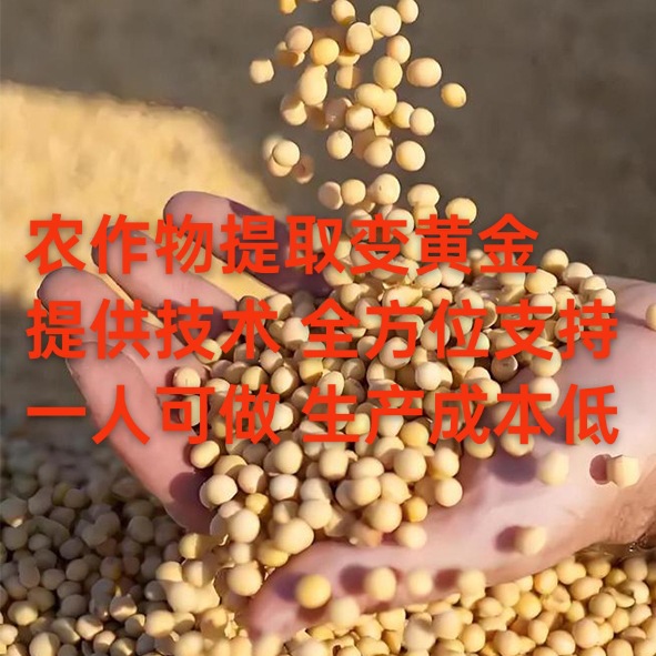 Outsourcing Semi-Finished Products for Processing at Home Is the Golden Lane for Deep Processing of Plant Protein Peptides Extracted from Corn