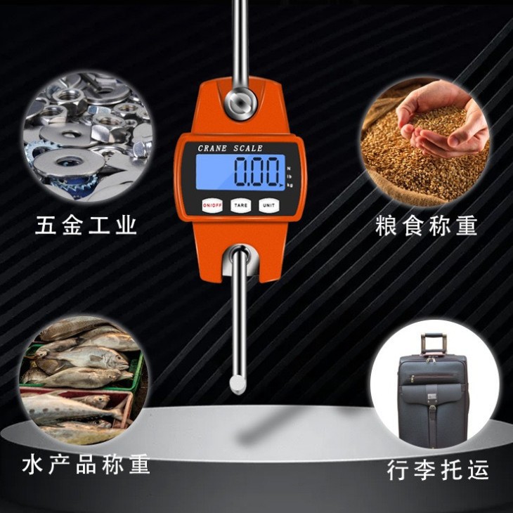 300kg Portable Crane Scale Industrial Scale Small Metal Hook Scale Hook Scale Satchel Digital Scale Spring Scale