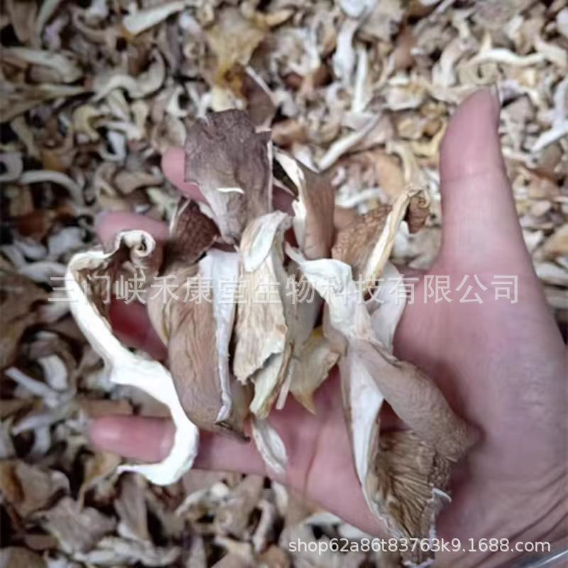Wholesale Pleurotus ostreatus strips Oyster mushroom dried real Pleurotus ostreatus strips edible mushroom bulk wholesale