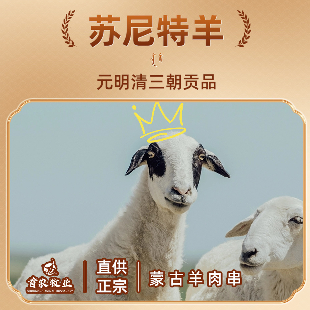 Jingsi Lin Inner Mongolia Red Willow Branch Lamb Skewers 37g Bbq Ingredients Frozen Food Lamb Skewers Semi-Finished Lamb