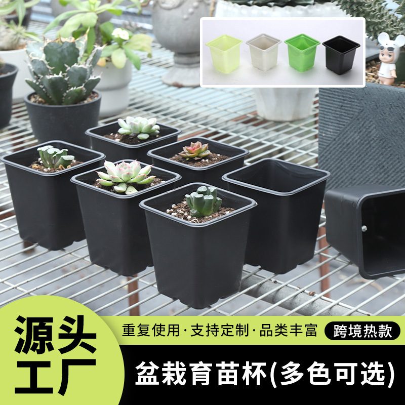 Многоцветный пластиковый стаканчик для рассады, простой, опционально, можно кастомизировать, безопасный, оптовая продажа от производителя