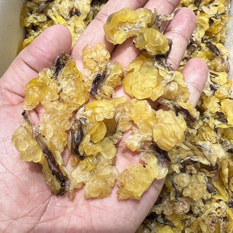 Snow Eel Oil, Snow Eel Oil, Wild Frog Oil, Changbai Mountain Snow Eel Dried Tonic Ingredient, 25g Per Box, Wholesale