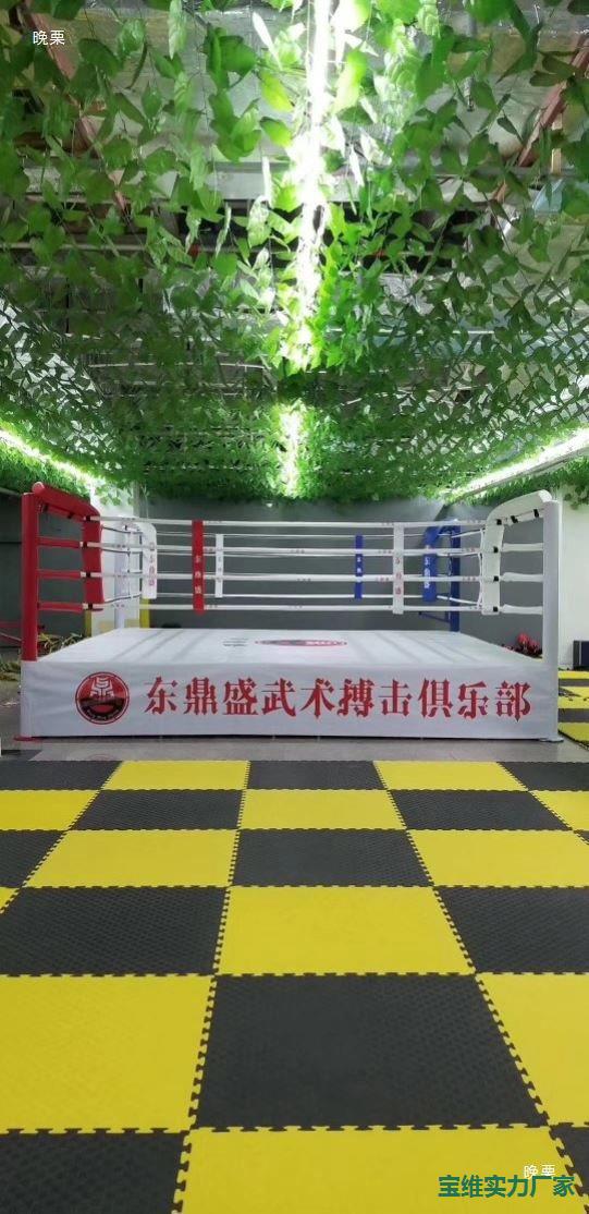 Indoor Fence Boxing Ring Training Table Muay Thai Sanda Ring Standard Competition Martial Arts Floor Boxing Ring Mma