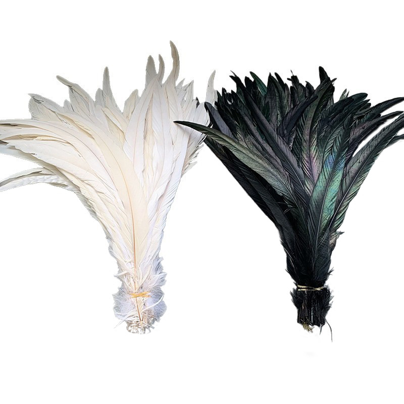 In-Stock Colorful Rooster Tail 20-45cm Faded Dyed Feather Decoration Cat Teaser Wand Toy Material Available in Multiple Colors