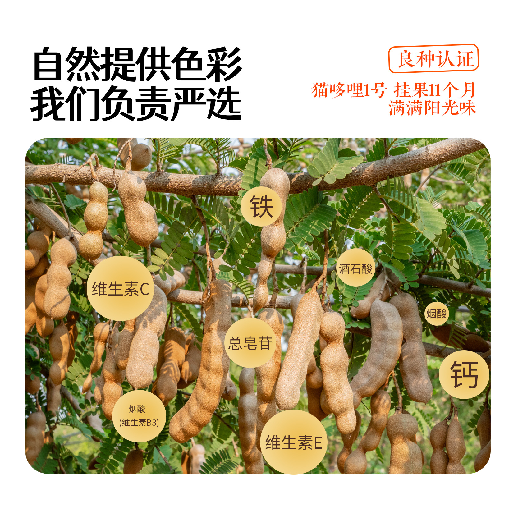 Cat Doli 21 ° Tamarind Concentrate Luokan Pain Mask Raw Material Supply Tamarind American Sour Soup Pot Base