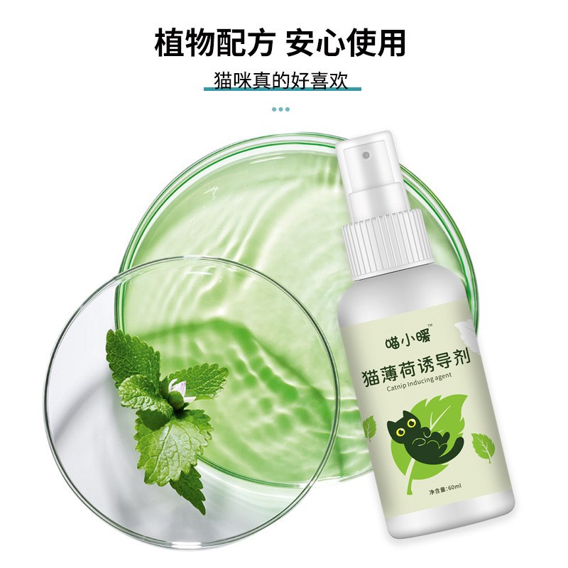 Meow Little Warm Catnip Inducer Cat Anxiety Relief Soothing Emotions Cat Teasing Cat Suction Happy Water Wholesale