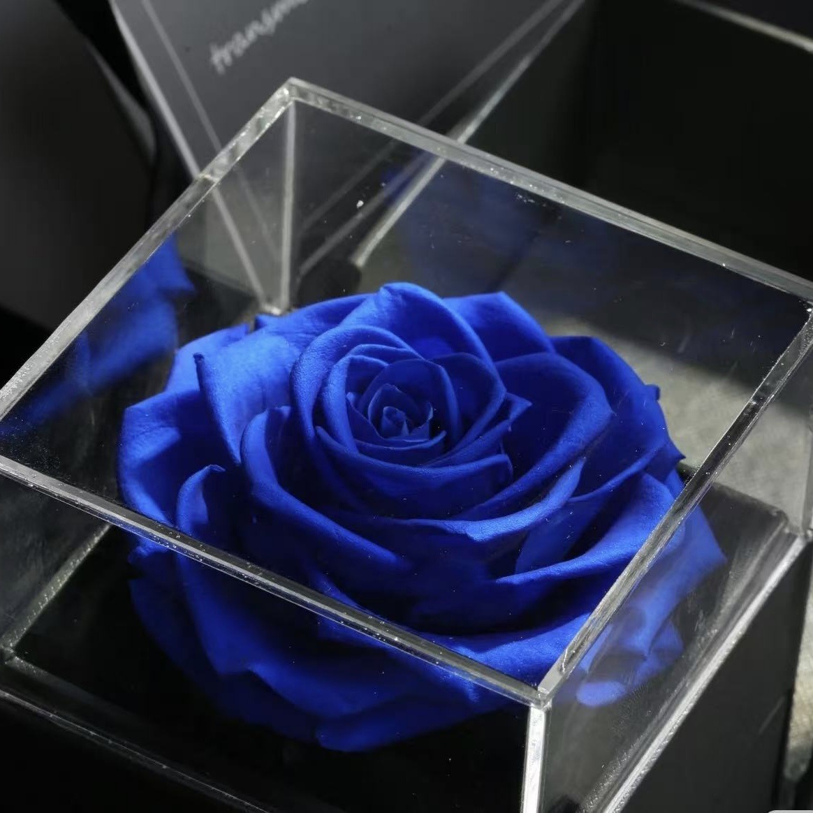 Everlasting Flower Rose Acrylic Jewelry Box Single Flower Valentine's Day Christmas Gift Jewelry Gift Box