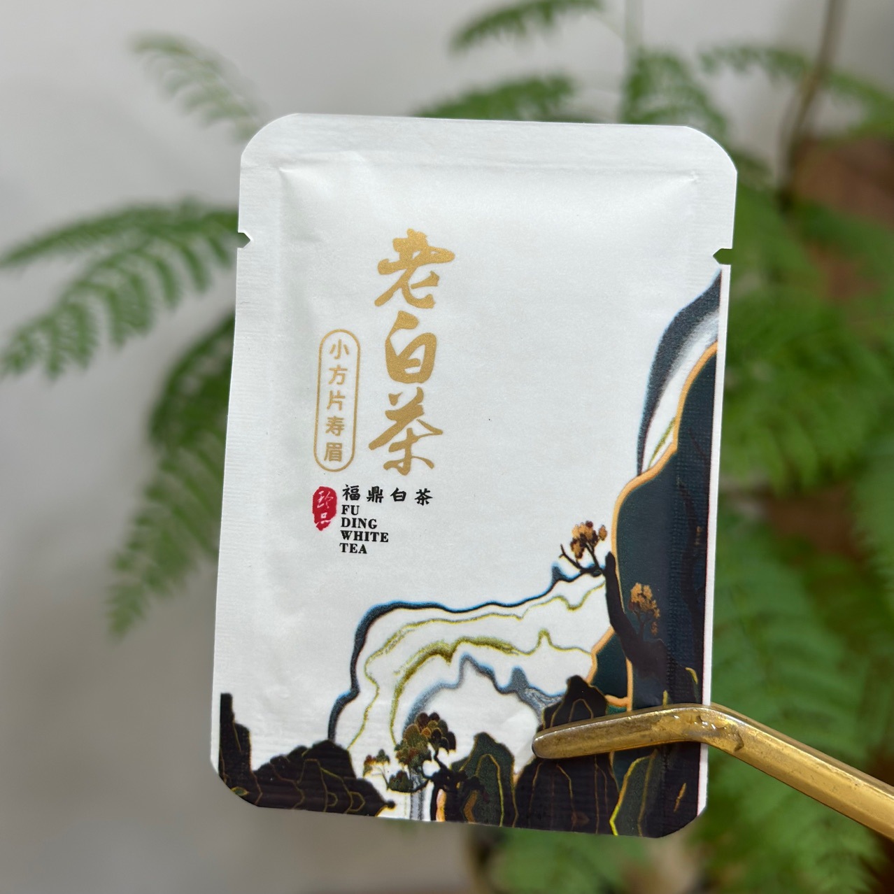 Tangerine Peel white tea small square piece white tea independent packaging Xinhui Tangerine peel old white tea birthday eyebrow biscuit independent packaging