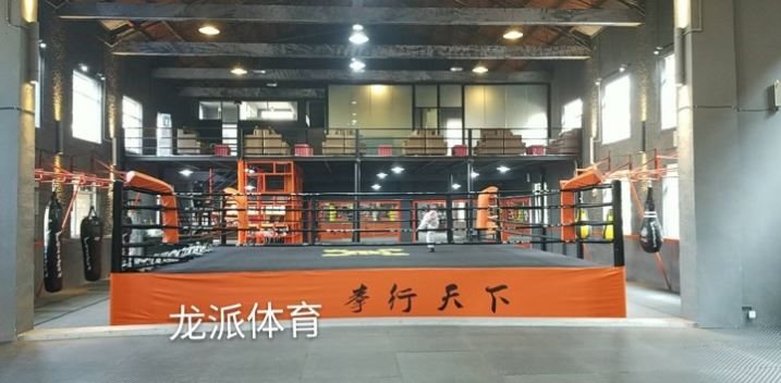 Indoor Fence Boxing Ring Training Table Muay Thai Sanda Ring Standard Competition Martial Arts Floor Boxing Ring Mma