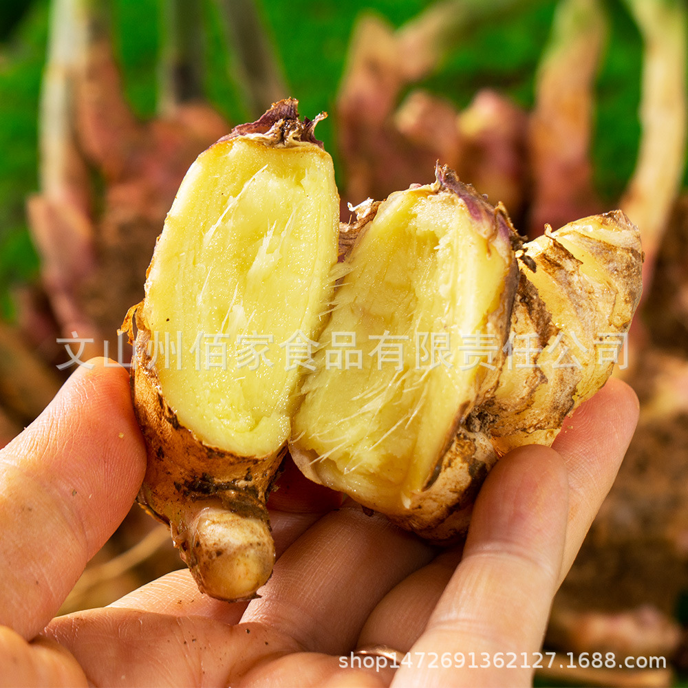 Organic Fresh Ginger with Mud 500G/Box Yunnan Organic Fresh Turmeric Supports Drop Shipping and Direct Sales from the Origin
