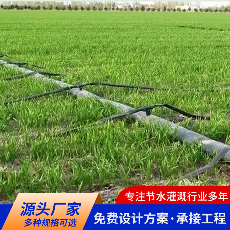 Agricultural black double-hole drip irrigation belt greenhouse vegetable field drip irrigation water-saving irrigation 16mm patch drip irrigation belt