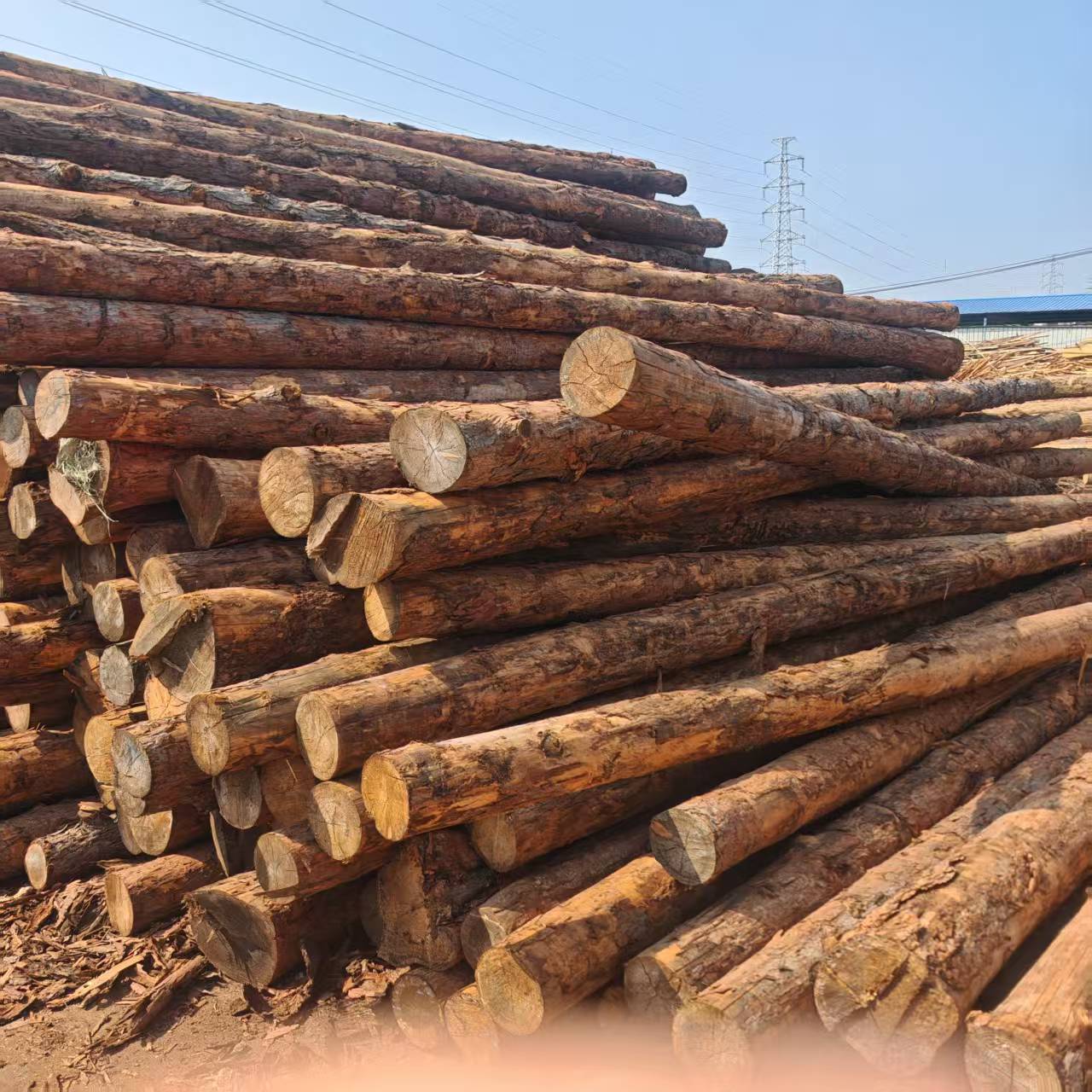 Larch Pile Wood Pine Pile Revetment Embankment Slope Protection Diameter 10cm Aosong Fir Log Can Be Sharpened Fir Wood