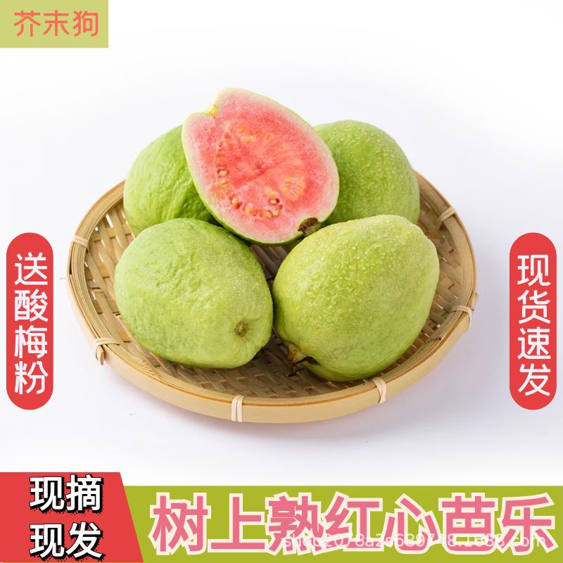 Фуцзянь Чжанчжоу Красное Сердце Гуава 2.5кг Свежие Фрукты Хрустящие Сладкие Руж Порошок Временами Кислой Сливы Полная Коробка Бесплатная Доставка