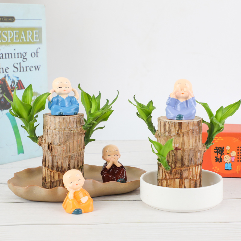 Бразильское дерево гидропонное удачное дерево для офиса настольное зеленое растение Грут четырех сезонов пень гидропонное растение оптовая поставка