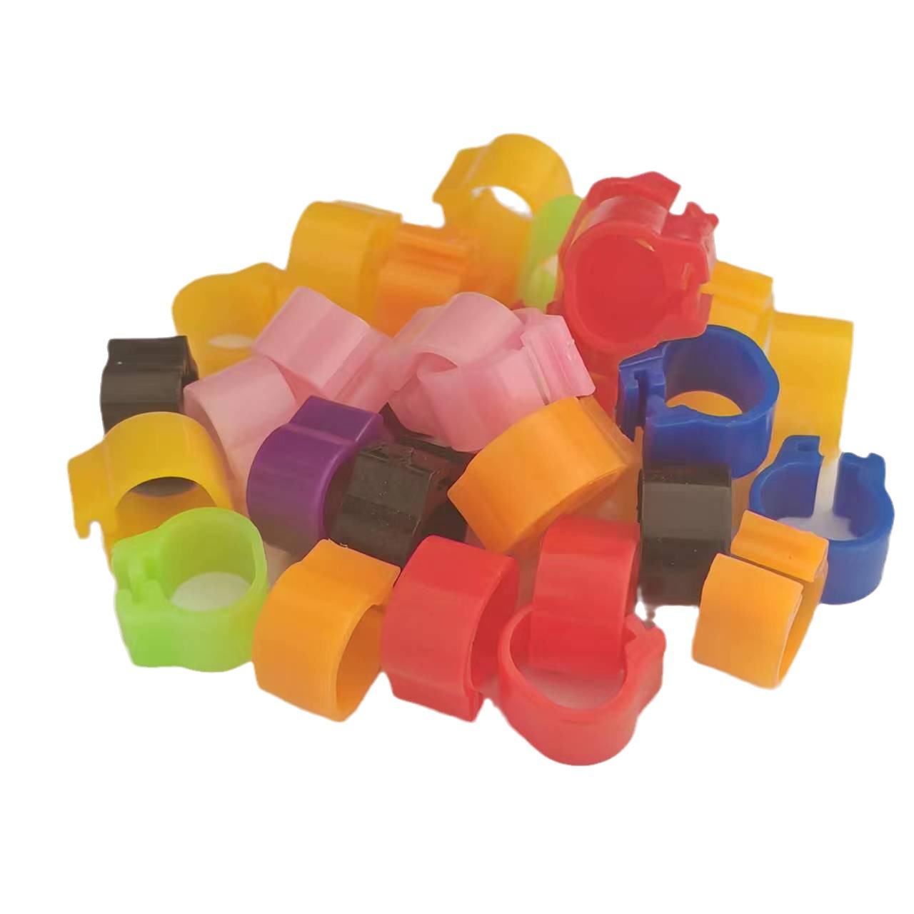 Pigeon, Racing Pigeon, Parrot, Ringneck Dove, Leg Ring, Bird Supplies, Pet Accessories, Bird Ring, for Birds