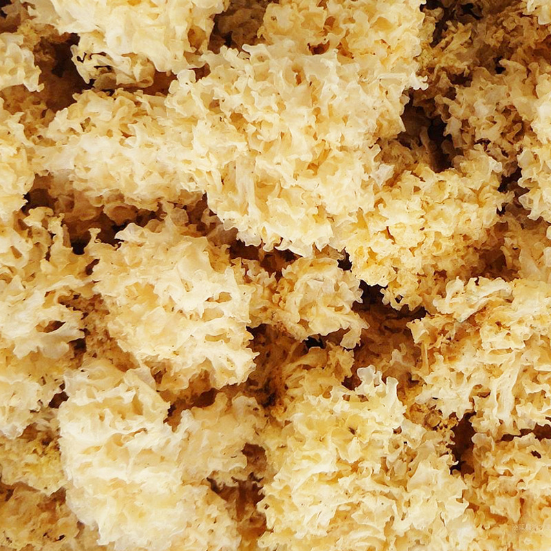 Gutian specialty basswood silver ear bulk 500g new goods easy to produce glue snow ear in stock clean sulfur-free small silver ear wholesale