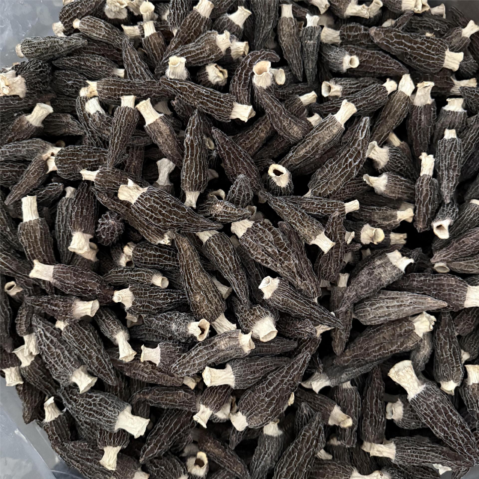 New Yunnan Specialty Morel Mushrooms 250g Dry Goods from the Source Manufacturer Jintang Origin Direct Delivery Wholesale Free Shipping