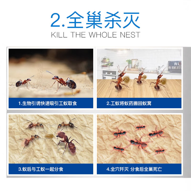 Dachau 40g Ant Bait for Eliminating Fire Ants in the Wild, Household Red Ant Medicine for Complete Eradication, Free Shipping