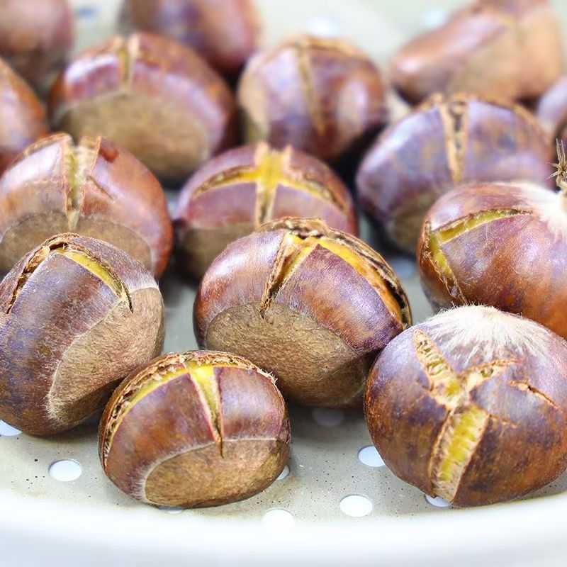 Newly Picked Authentic Fresh Chestnuts from Dandong, Freshly Roasted Large Chestnuts, Seasonal Wholesale