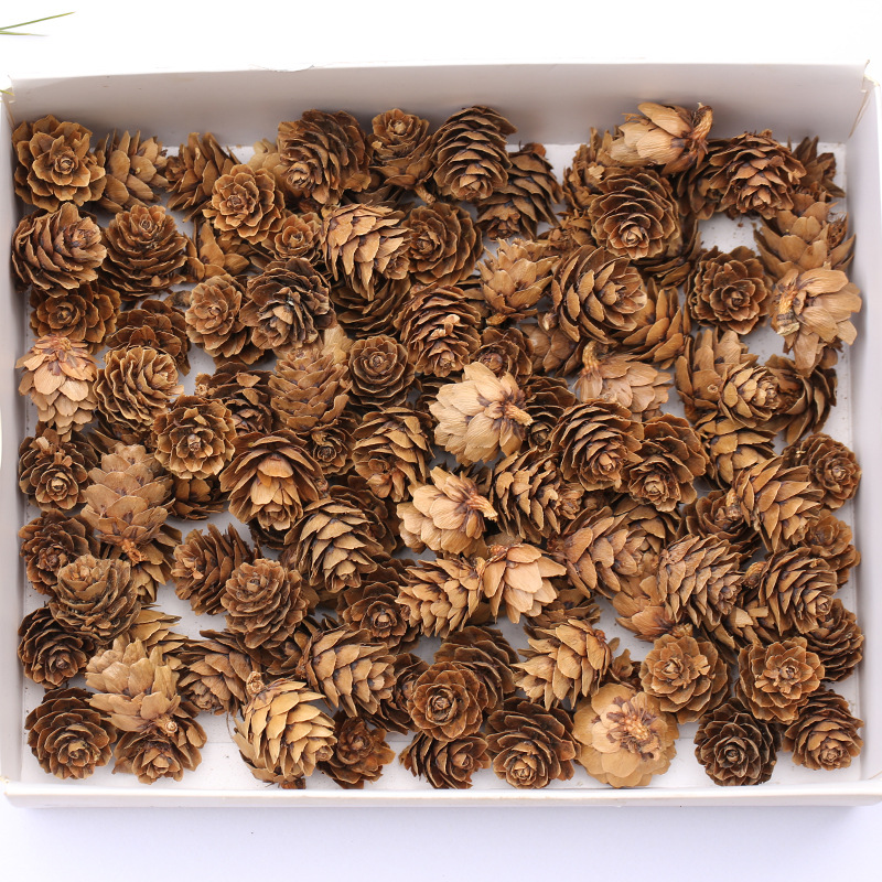 Рождественская шишка, маленькая шишка, шишка, цветок лиственницы, мини-сосна, сухие цветы, рождественский декор