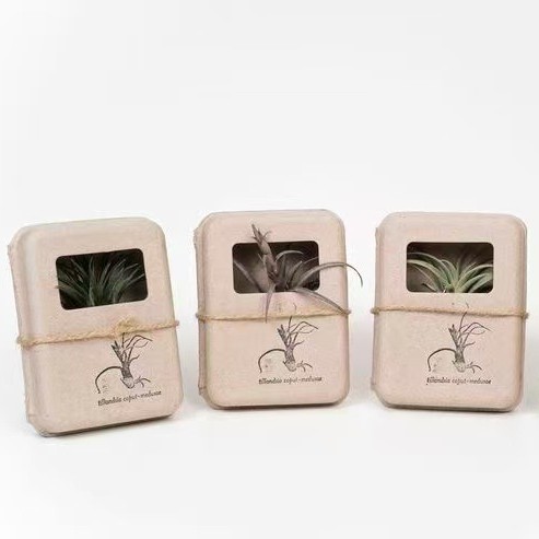 Paper Pulp Molding Dry Pressed Jewelry Paper Box Universal Gift Paper Box Environmentally Friendly Paper Box Spot Wholesale