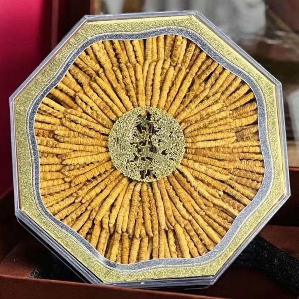 Xizang Girl Cordyceps Cordyceps Cordyceps Xizang Naqu Frozen Dry Goods Cordyceps Cordyceps Cordyceps Cordyceps Cordyceps Cordyceps Cordyceps Cordyceps Cordyceps Cordyceps Cordyceps Cordyceps Cordyceps Cordyceps Cordyceps Cordyceps Cordyceps Cordyceps Cordyceps Cordyceps Cordycep