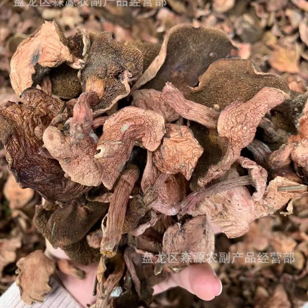 Pure wild Boletus dry goods red milk Boletus Yunnan local specialty pine mushroom red sticky ball in stock wholesale free shipping
