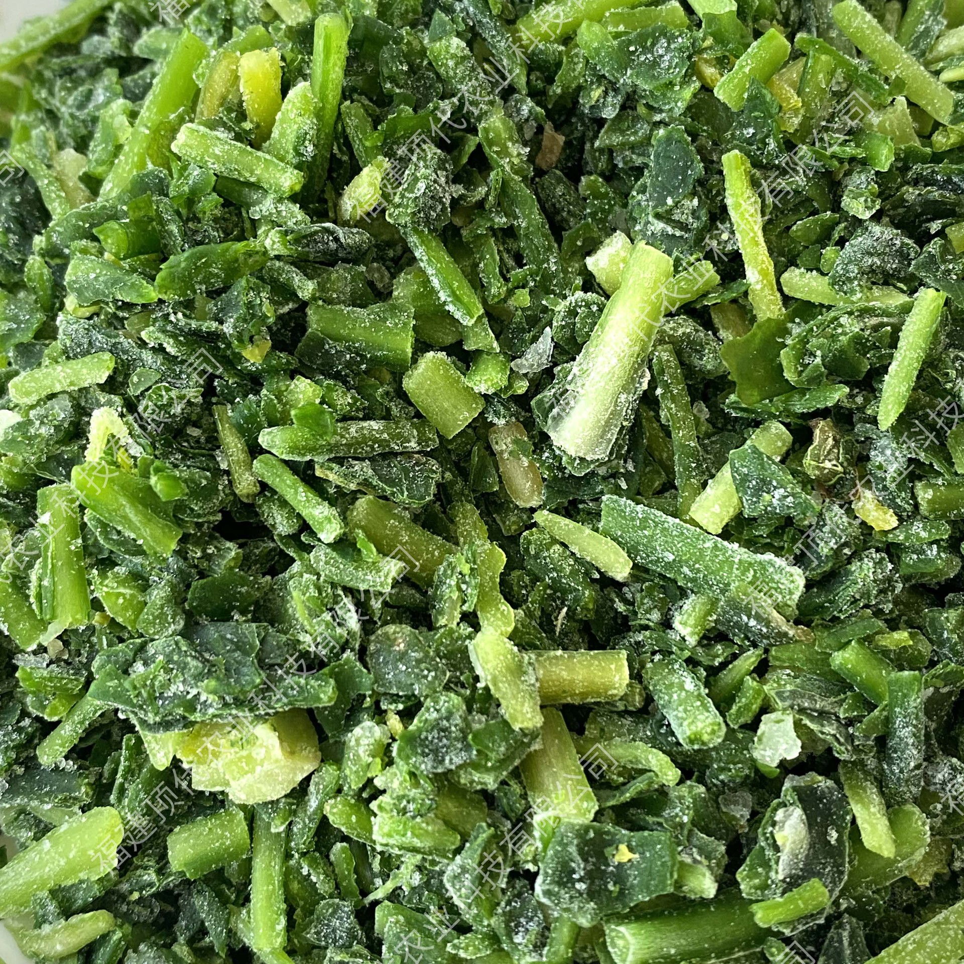 Quick-Frozen Shepherd's Purse Stuffing Source Manufacturer Fresh Frozen Shepherd's Purse Stuffing for Steamed Buns and Dumplings Stuffing Quick-Frozen Vegetables in Large Quantities in Stock