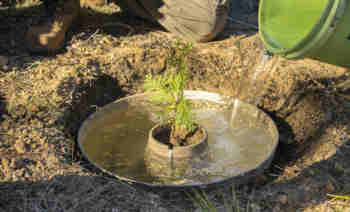 Chongqing Paper Paper Degradable Recycling Pulp Molding Waterproof Sand Planting Pots Large Flower Pots