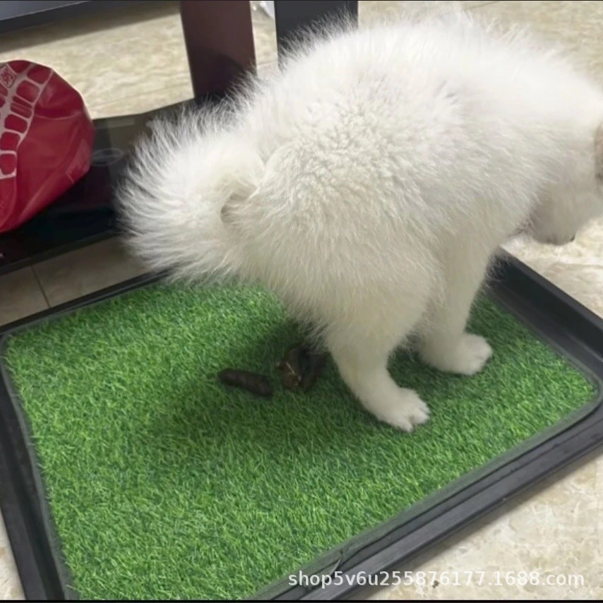 Cross-Border Supply Dog ​​Urination Turf Training Mat Multi-Functional Cat and Dog Lawn Urine Pad Pet Supplies Urine Pad