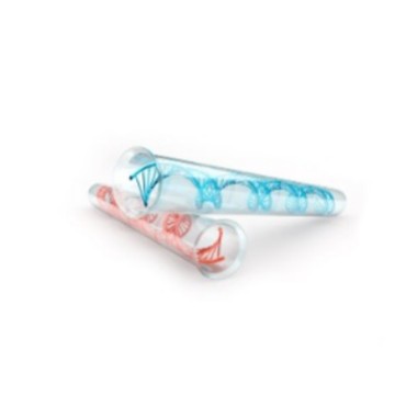 Beckman Coulter Biomek Genome Workstation Is Easy to Use, Simple to Operate, Has Good Results, Is Reliable and Stable