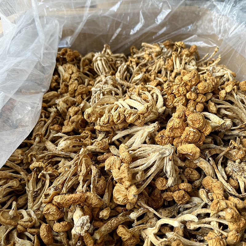 Mushroom Mushroom Mushroom Mushroom mushroom small yellow mushroom dry goods Mushroom mushroom wholesale large flowers medium scattered flowers specifications factory bulk wholesale