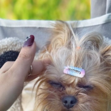 Рюкзак для собак из канваса, большой объем, портативная дышащая сумка для домашних животных, портативная сумка на плечо