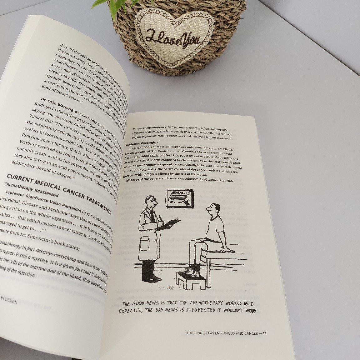 Cross-Border Self Heal by Design Self Healing Text Inspiration Handbook English Version