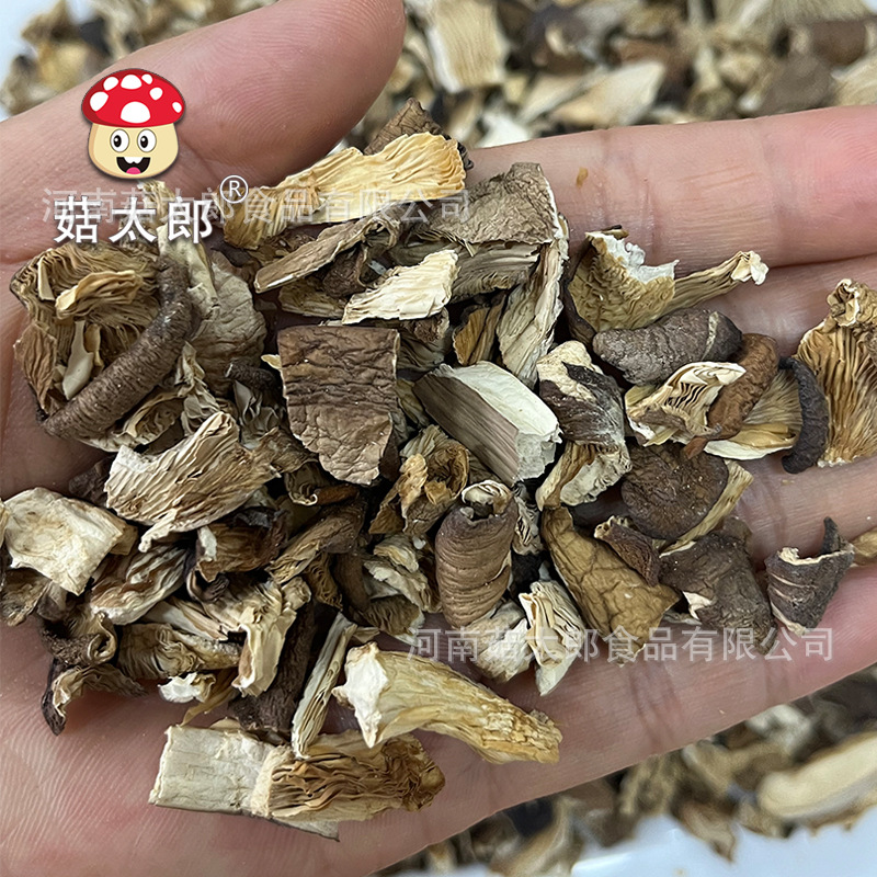 Wholesale of Shiitake Mushroom Fragments, Abalone Mushrooms, Shiitake Mushrooms/Xiu Zhen Mushrooms, Sauce Filling Powder Extraction Factory Direct