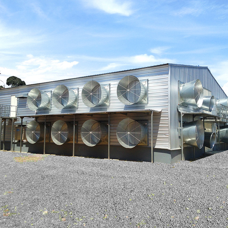 Factory Cattle House Chicken House Steel Structure Factory Steel Structure Warehouse Light Steel Structure House Vegetable Greenhouse Farm