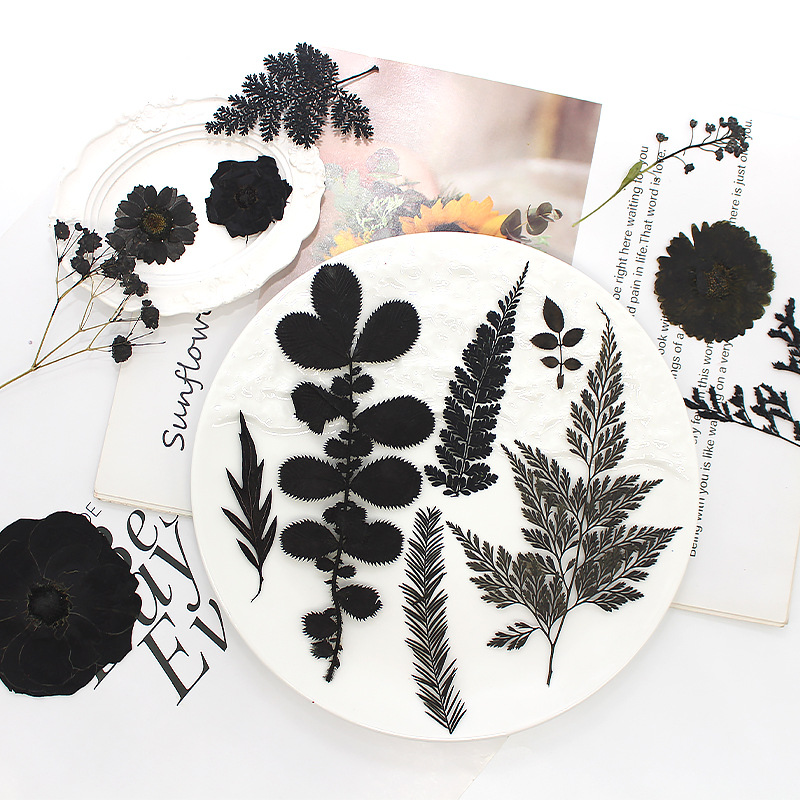 Black flower factory direct dried flower embossed black series of plant specimens real flower leaves flower material bag