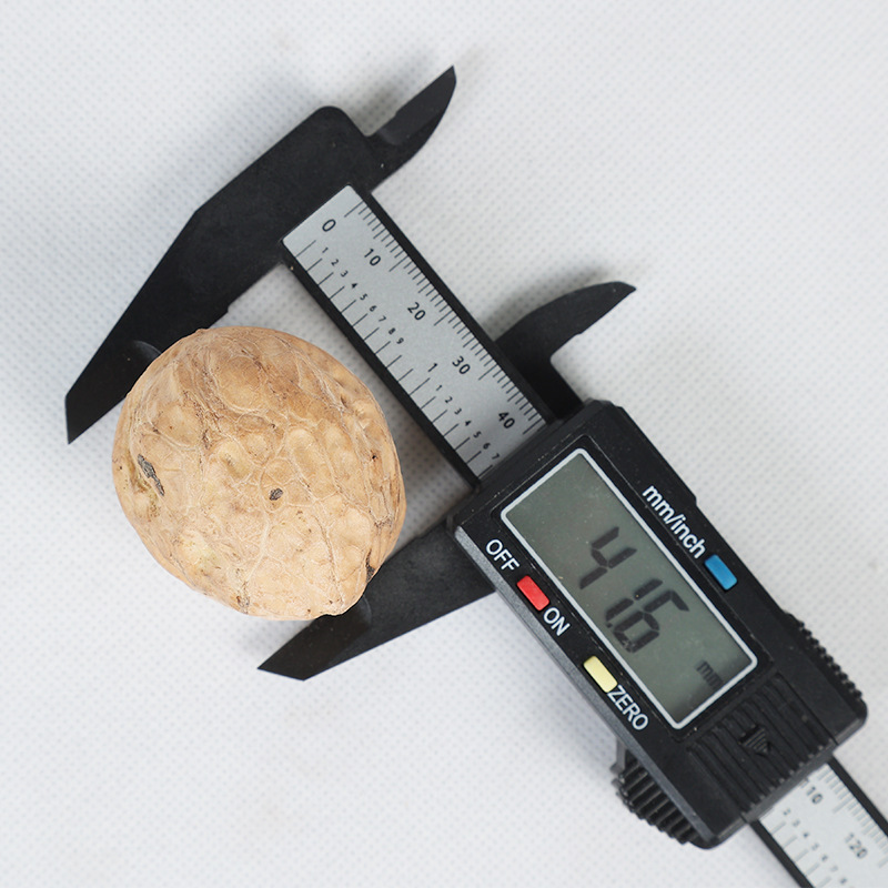 New Arrival of Paper-Skinned Walnuts Wholesale, Shanxi Specialty Dried Fruit, Thin-Skinned Gift Box, Crispy Original Flavor, Easy to Peel, Large Kernels